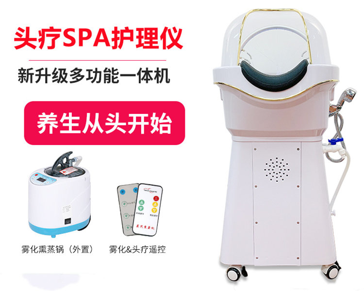 广州磊洋美容仪器厂家头疗spa护理仪器