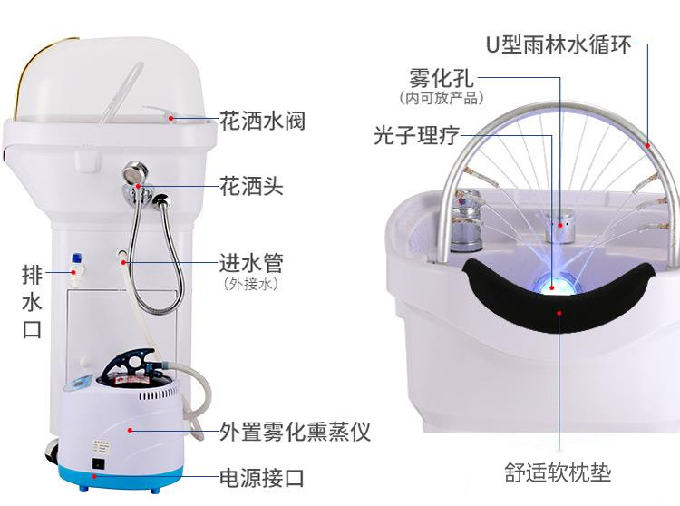 广州磊洋美容仪器厂家头疗spa护理仪